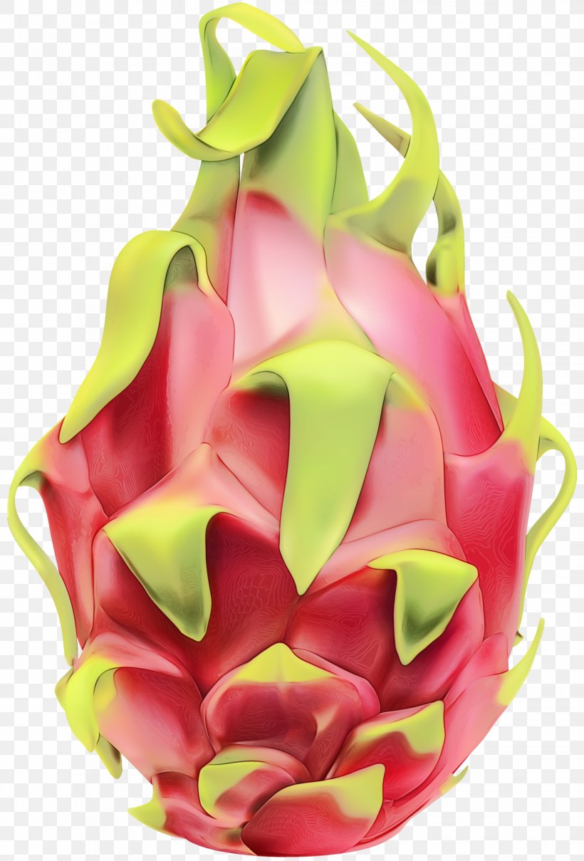 Watercolor Pink Flowers, PNG, 2034x2999px, Watercolor, Cut Flowers, Dragonfruit, Flower, Food Download Free