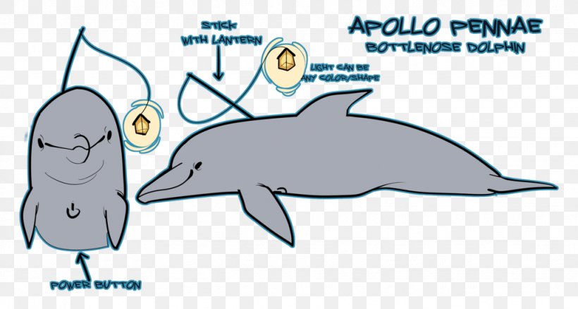 Common Bottlenose Dolphin Tucuxi Porpoise August 10, PNG, 1024x548px, Common Bottlenose Dolphin, Animal, Animal Figure, Area, August 10 Download Free