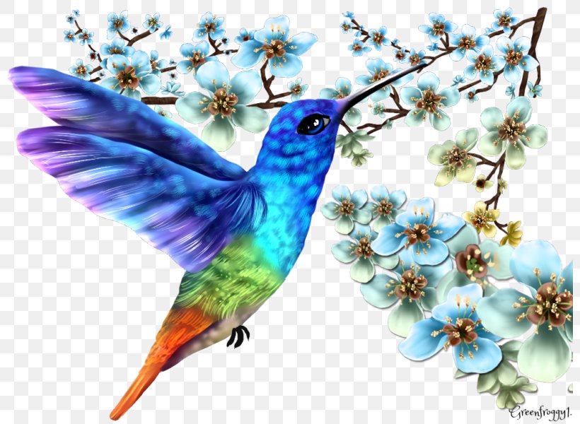 Contact Page Art Hummingbird M, PNG, 800x600px, Contact Page, Art, Beak, Bird, Bluebird Download Free