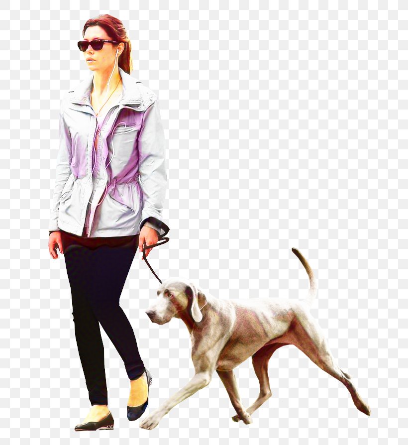 Dog Walking Labrador Retriever Architecture Clip Art, PNG, 724x894px, Dog Walking, Architectural Rendering, Architecture, Art, Canidae Download Free