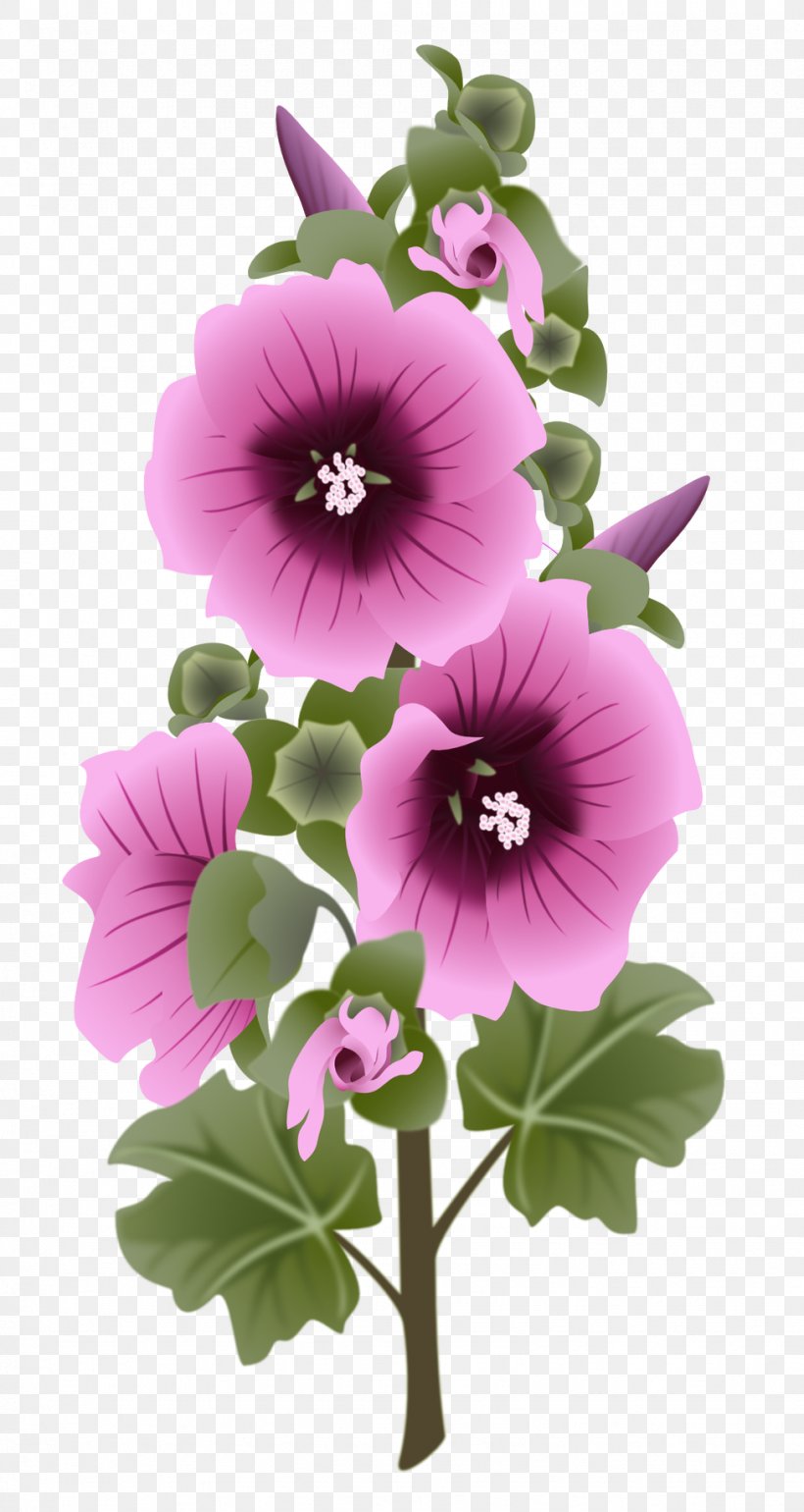 Vector Graphics Flower Hollyhock Floral Design, PNG, 976x1833px, Flower, Annual Plant, Cut Flowers, Floral Design, Flowering Plant Download Free