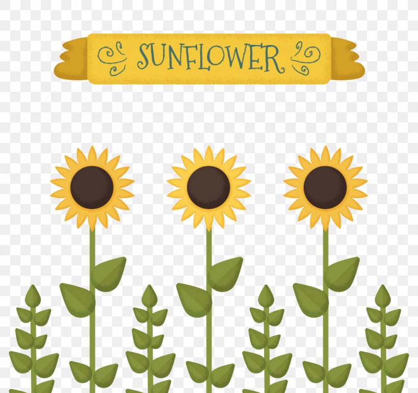 Common Sunflower Sunflower Seed Drawing Illustration, PNG, 1024x962px, Common Sunflower, Annual Plant, Daisy Family, Drawing, Floral Design Download Free