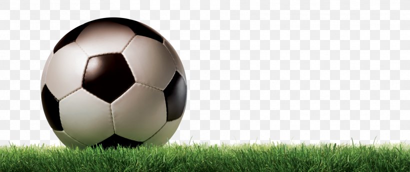 FIFA World Cup Football Grass, PNG, 1818x763px, Fifa World Cup, Ball, Computer Network, Football, Football In Brazil Download Free