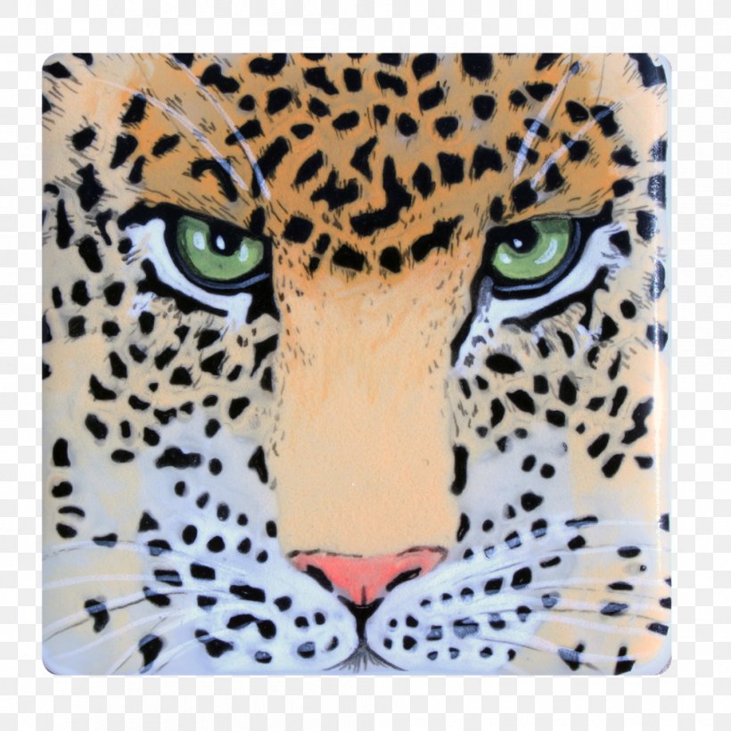 Leopard Jaguar Cheetah Whiskers Snout, PNG, 1005x1005px, Leopard, Animal, Big Cats, Carnivoran, Cat Like Mammal Download Free