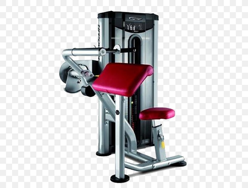 Triceps Brachii Muscle Bench Pulldown Exercise Biceps Weight Training, PNG, 681x620px, Triceps Brachii Muscle, Bench, Bench Press, Biceps, Biceps Curl Download Free