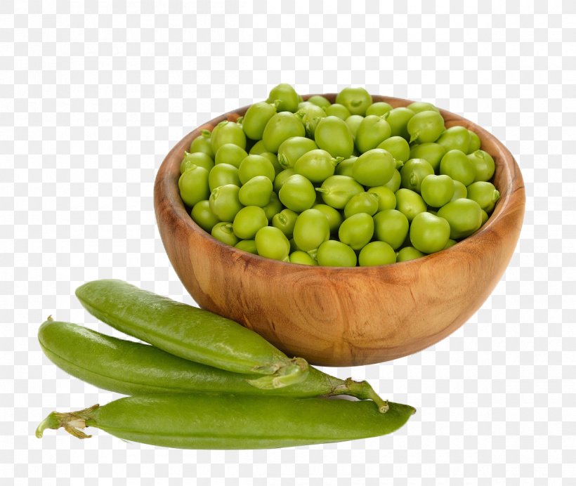 Pea Protein Common Bean Vegetable, PNG, 1200x1014px, Pea, Bean, Broad Bean, Canning, Common Bean Download Free