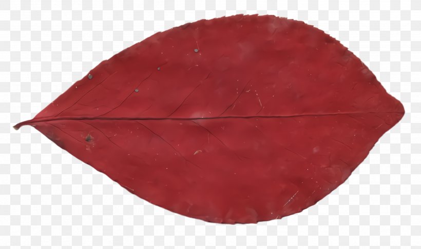 Red Leaf, PNG, 2596x1540px, Red, Leaf Download Free
