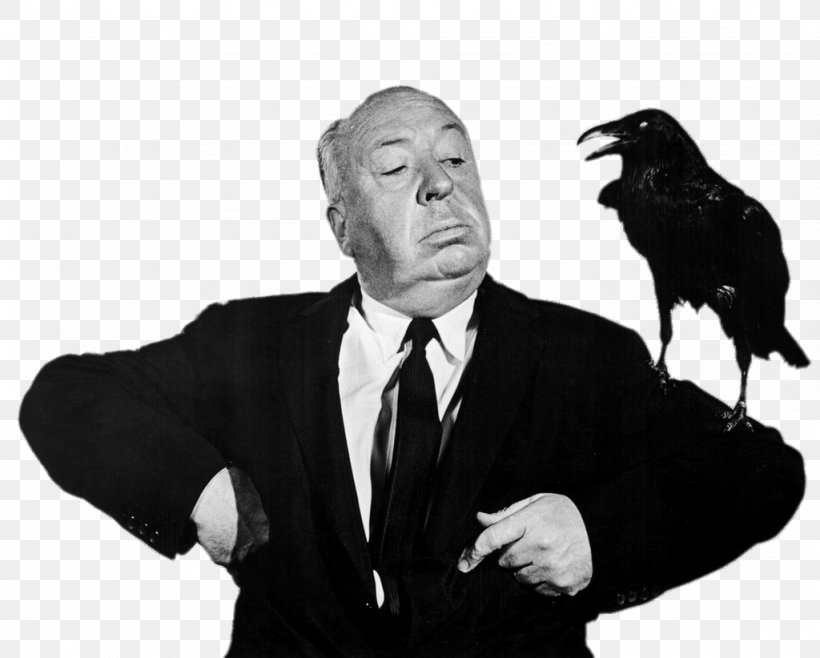 Alfred Hitchcock Filmography The Birds Film Director, PNG, 1024x822px, Alfred Hitchcock, Alfred Hitchcock Filmography, Alfred Hitchcock Presents, Birds, Black And White Download Free