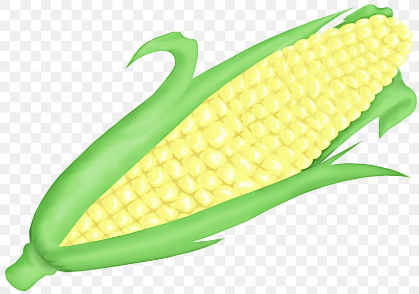 Corn On The Cob Corn Sweet Corn Corn Kernels Vegetable, PNG, 1492x1048px, Corn On The Cob, Corn, Corn Kernels, Food, Legume Download Free
