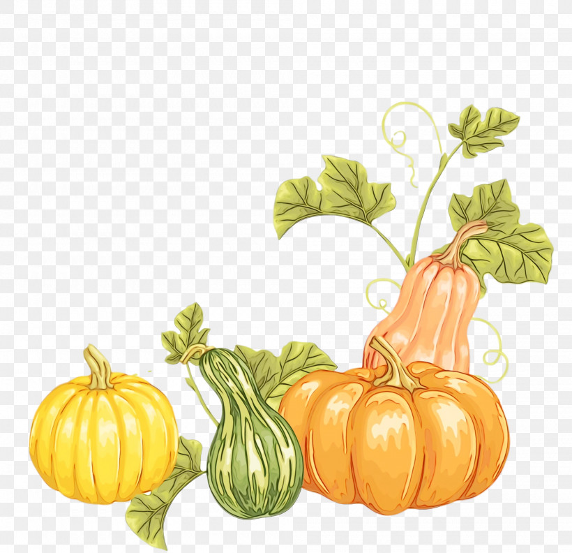 Gourd Winter Squash Patty Pan Cucurbits Vegetable, PNG, 2000x1932px, Thanksgiving, Autumn, Cucumber, Cucurbits, Field Pumpkin Download Free