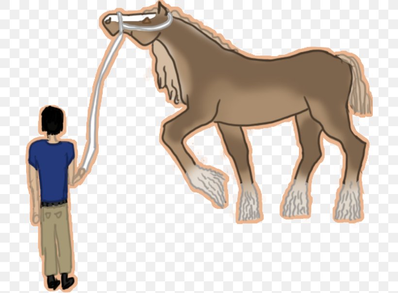 Mustang Foal Stallion Mare Halter, PNG, 717x604px, Mustang, Animal Figure, Bridle, Cartoon, Colt Download Free