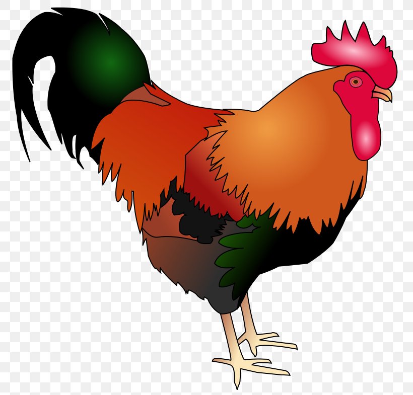 Rooster Welsummer Poultry Animal Clip Art, PNG, 800x785px, Rooster, Animal, Bald Eagle, Beak, Bird Download Free