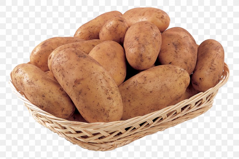 Russet Burbank Potato Fingerling Potato Yukon Gold Potato Sweet Potato Yam, PNG, 1795x1197px, Russet Burbank Potato, Fingerling Potato, Food, Potato, Potato And Tomato Genus Download Free