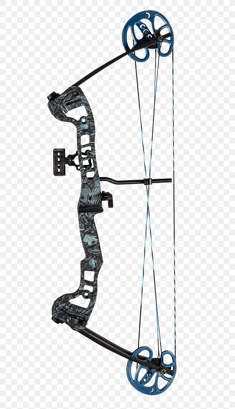 Bow And Arrow Compound Bows Bowfishing Archery, PNG, 736x1425px, Bow And Arrow, Archery, Bow, Bow Draw, Bowfishing Download Free