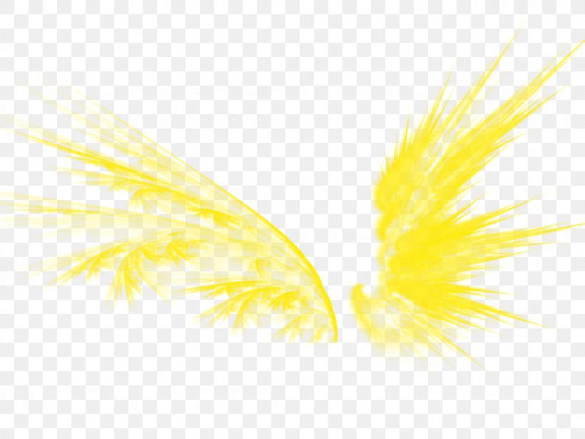 Graphic Design Yellow Pattern, PNG, 1024x768px, Yellow, Computer, Feather, Wing Download Free
