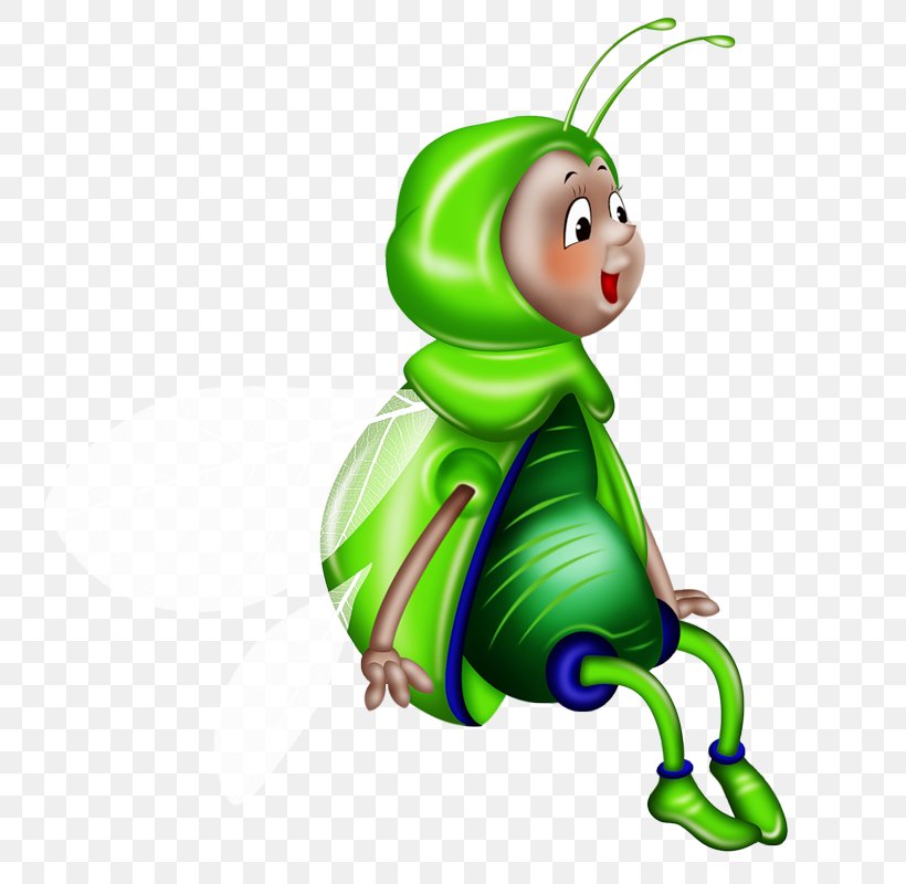 Insect Animation, PNG, 800x800px, Insect, Animation, Beauty, Color, Fictional Character Download Free