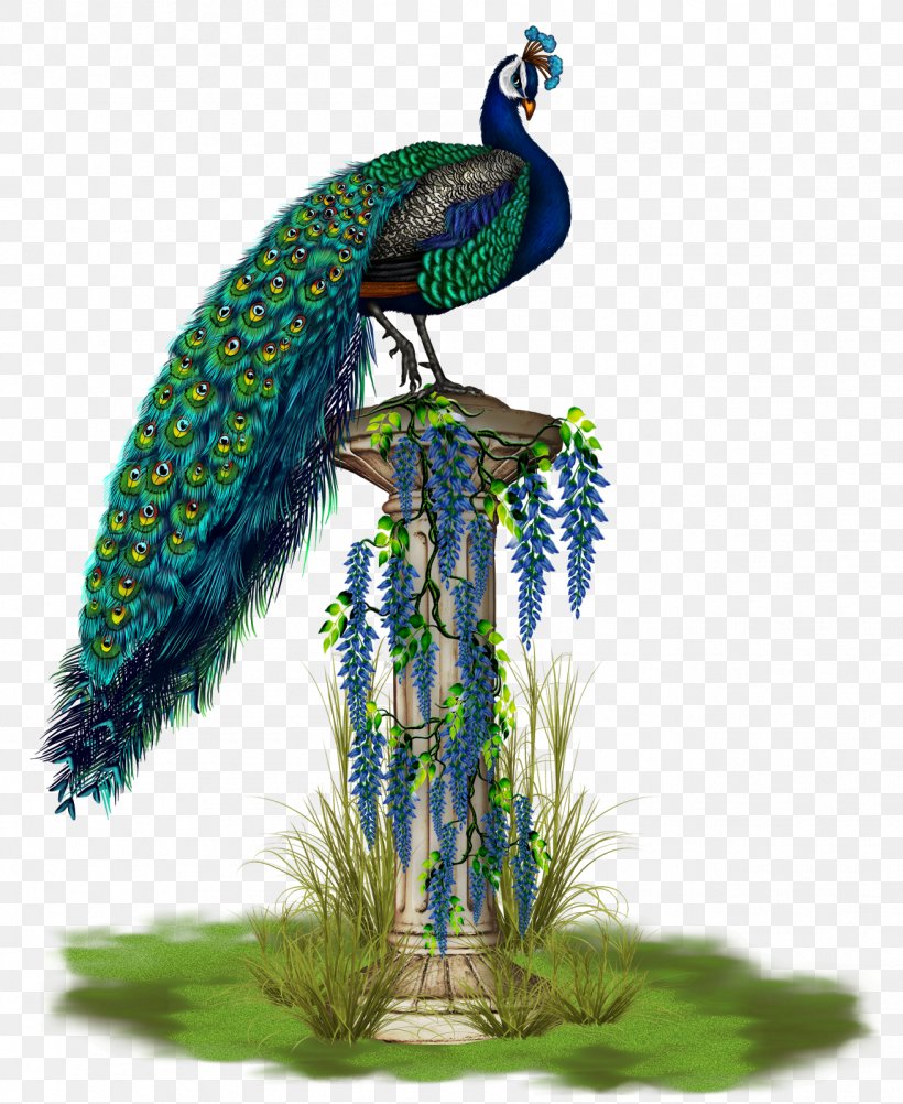 Bird Phasianidae Peafowl Feather Beak, PNG, 1309x1600px, Bird, Animal, Beak, Fauna, Feather Download Free