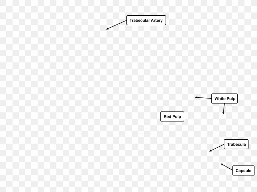 Document Line Angle Brand, PNG, 1024x768px, Document, Area, Brand, Diagram, Number Download Free