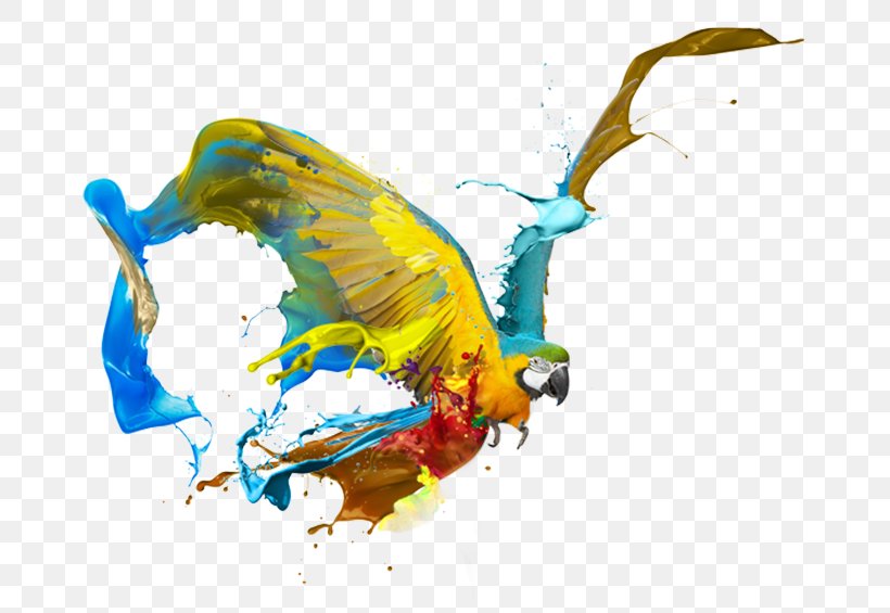 Graphic Design Art, PNG, 700x565px, Art, Art Museum, Artist, Beak, Bird Download Free