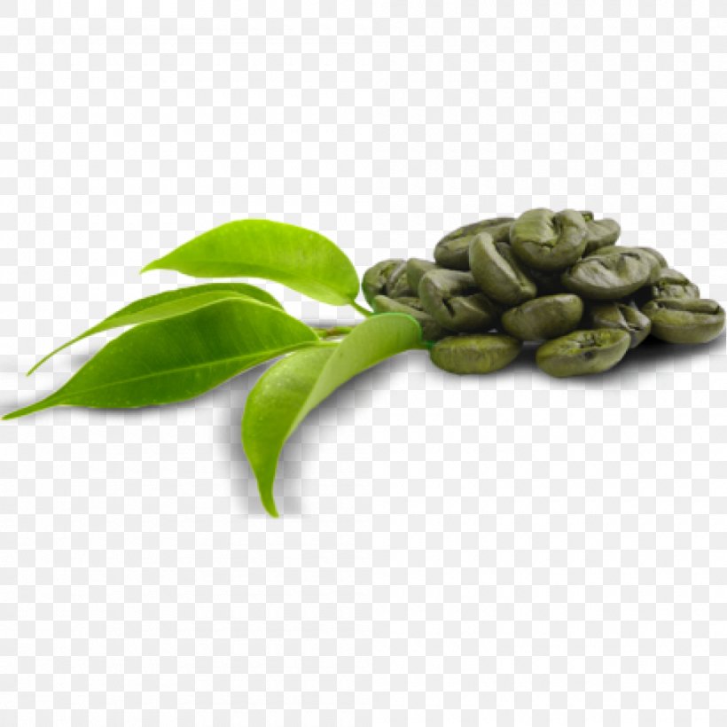 Green Coffee Extract Dietary Supplement Coffee Bean, PNG, 1000x1000px, Coffee, Capsule, Chlorogenic Acid, Coffee Bean, Commodity Download Free