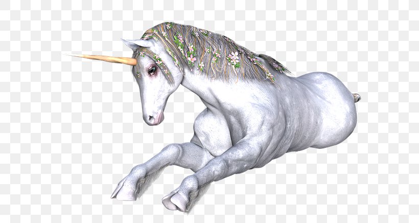 Unicorn Horn Drawing Horse Fairy Tale, PNG, 640x436px, Unicorn, Drawing, Fairy, Fairy Tale, Fictional Character Download Free