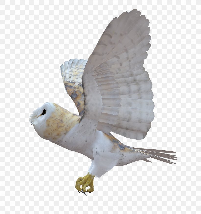 Owl Hummingbird Clip Art, PNG, 1500x1600px, Owl, Animal, Animal Material, Beak, Bird Download Free