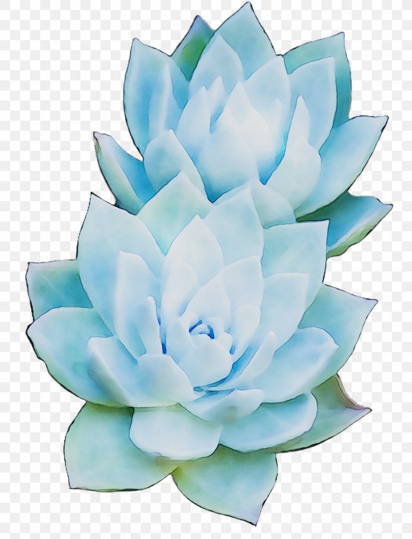 Artificial Flower Petal Cut Flowers Turquoise, PNG, 1097x1435px, Flower, Aqua, Aquatic Plant, Artificial Flower, Blue Download Free