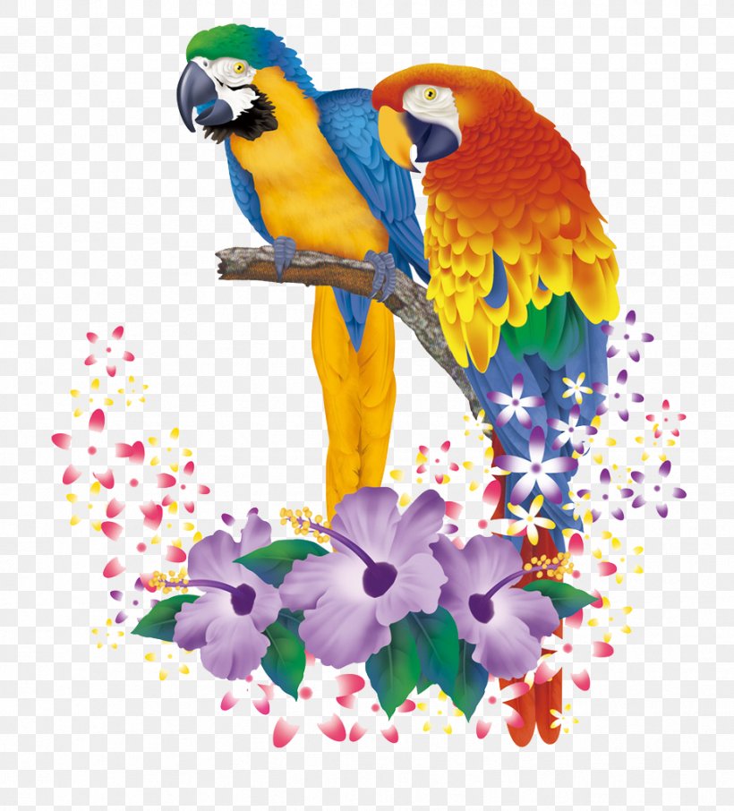 Cartoon Animation, PNG, 926x1024px, Parrot, Art, Beak, Bird, Bird And Flower Painting Download Free