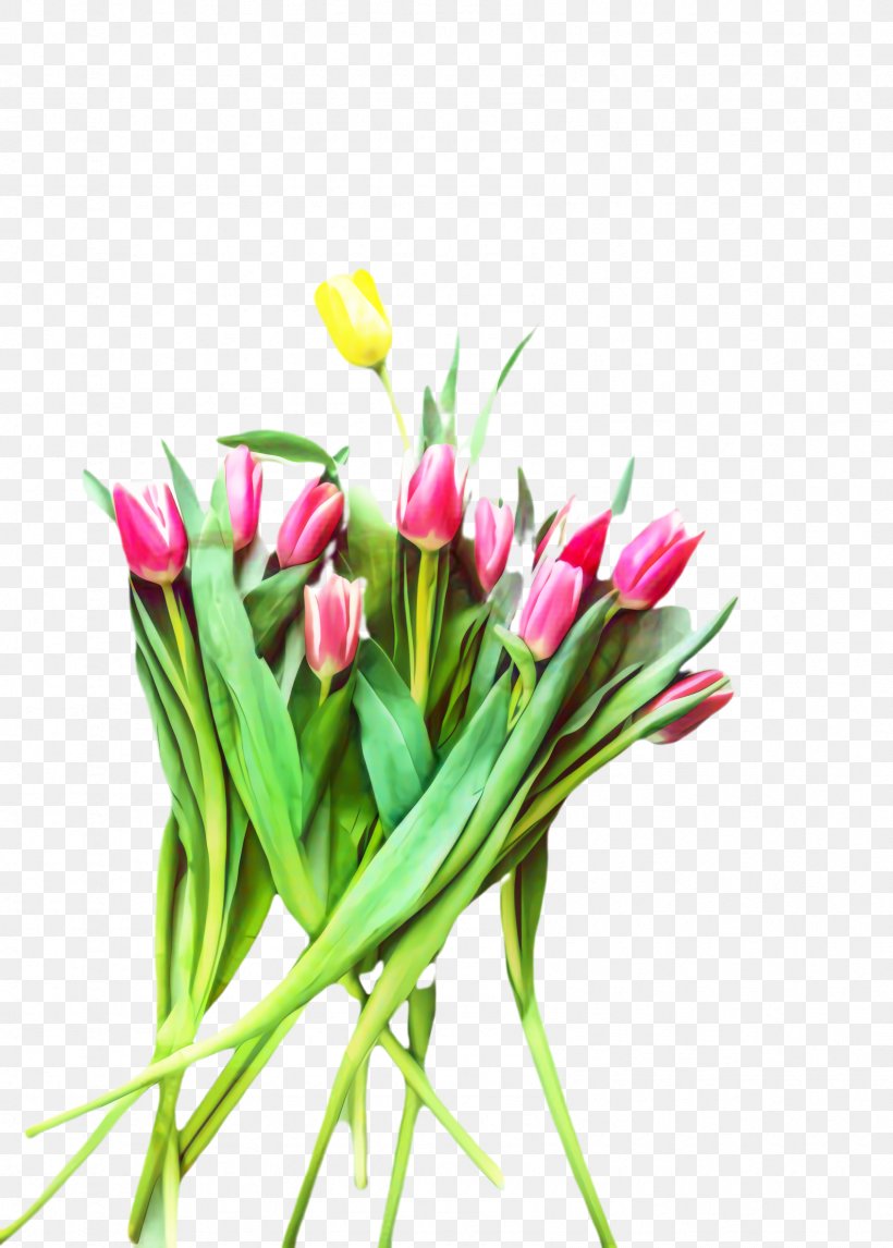 Lily Flower Cartoon, PNG, 1692x2366px, Tulip, Blossom, Bouquet, Cut Flowers, Flora Download Free