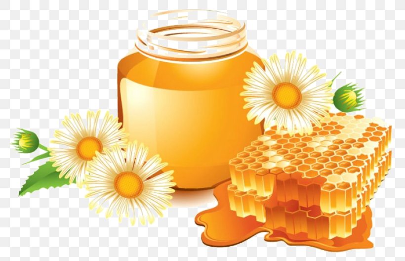 Savior Of The Honey Feast Day Atherosclerosis Beekeeping Information, PNG, 800x528px, Honey, Atherosclerosis, Beekeeping, Blood Vessel, Flower Download Free