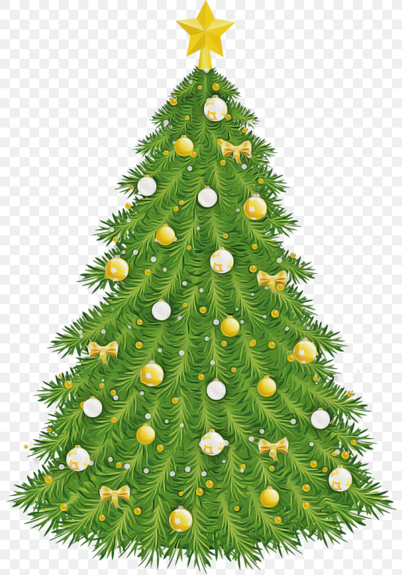 Christmas Tree, PNG, 800x1172px, Christmas Tree, American Larch, Balsam Fir, Branch, Christmas Download Free