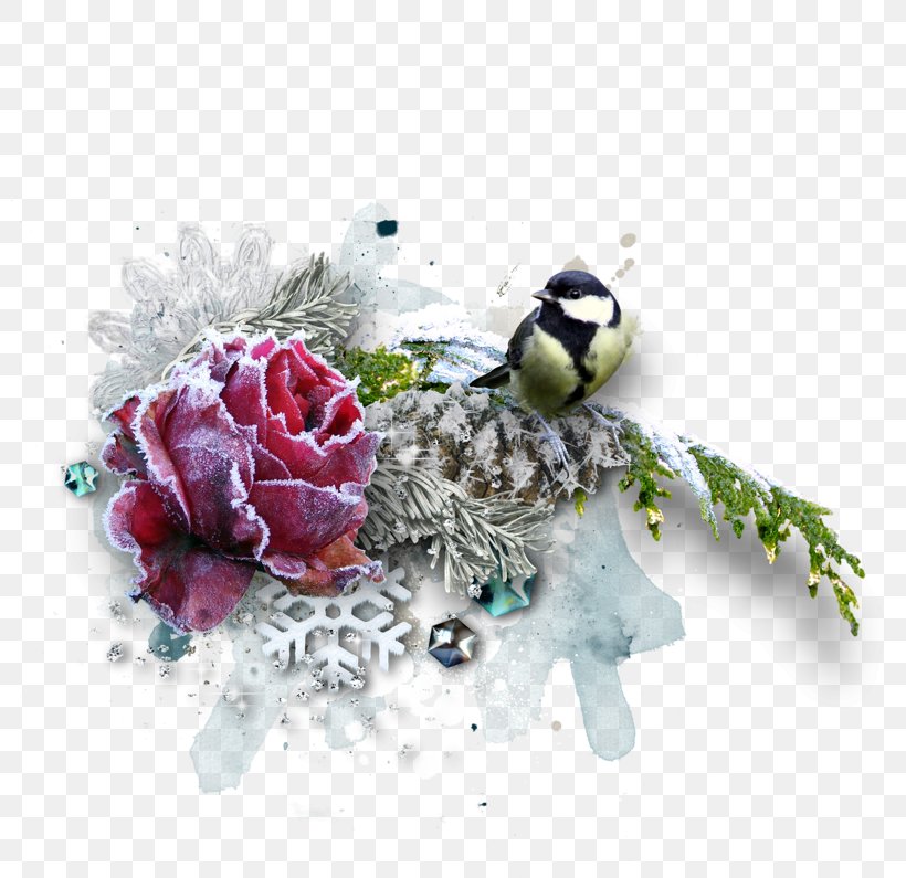Clip Art, PNG, 800x795px, Illustrator, Art, Bird, Collage, Cut Flowers Download Free