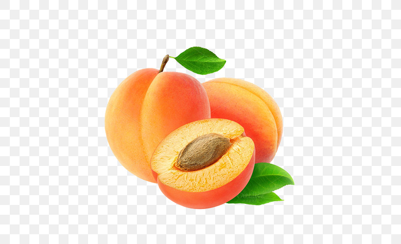 Fruit European Plum Food Apricot Apricot Kernel, PNG, 500x500px, Fruit, Apricot, Apricot Kernel, Drupe, European Plum Download Free