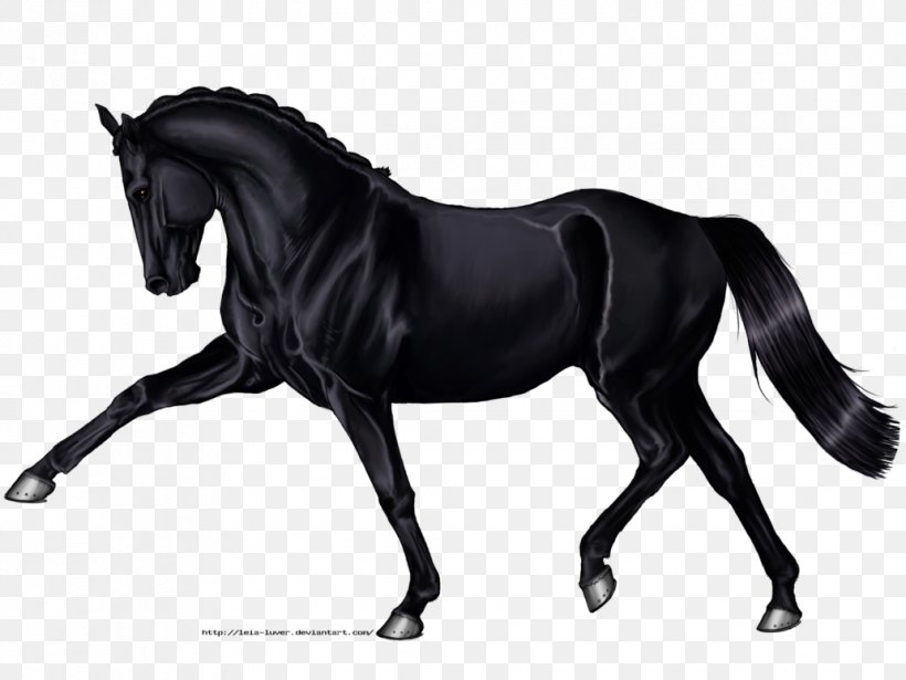 Hanoverian Horse Arabian Horse Andalusian Horse Black Drawing, PNG, 1032x774px, Hanoverian Horse, Andalusian Horse, Arabian Horse, Art, Bit Download Free