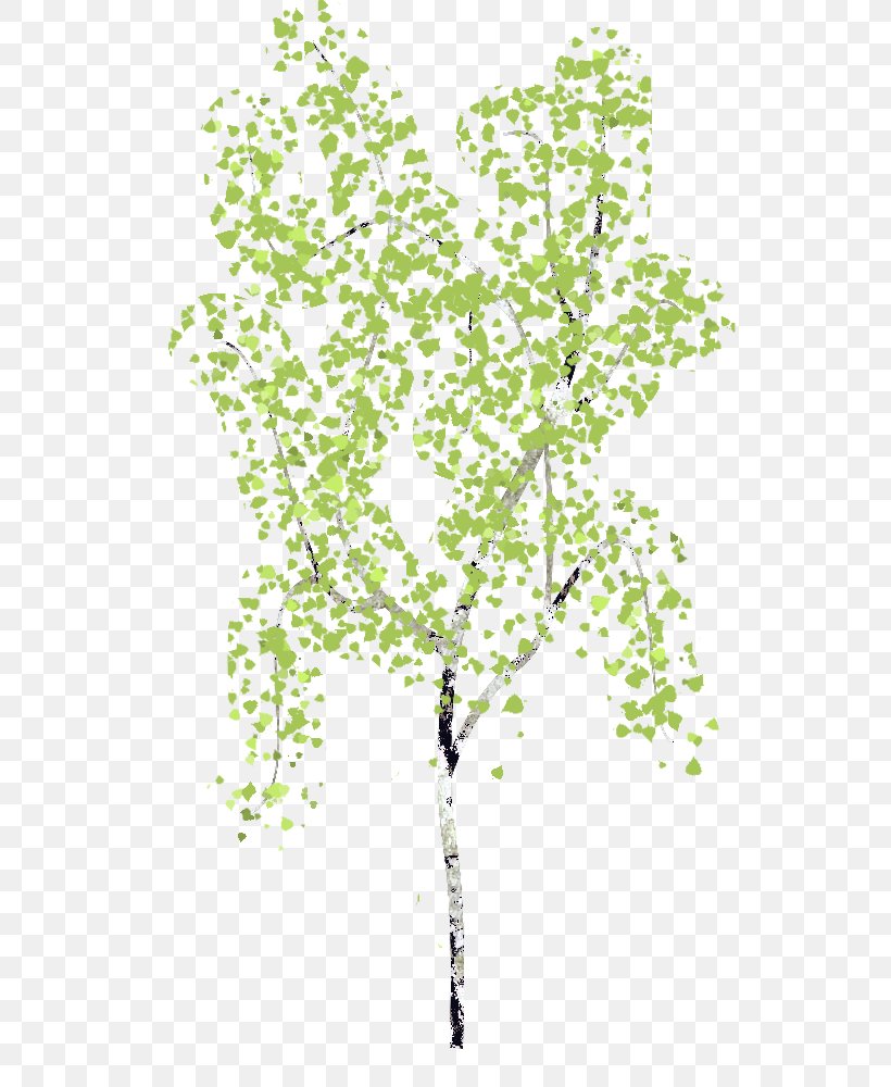 Twig Plant Stem Leaf Line, PNG, 640x1000px, Twig, Birch, Branch, Flowering Plant, Grass Download Free