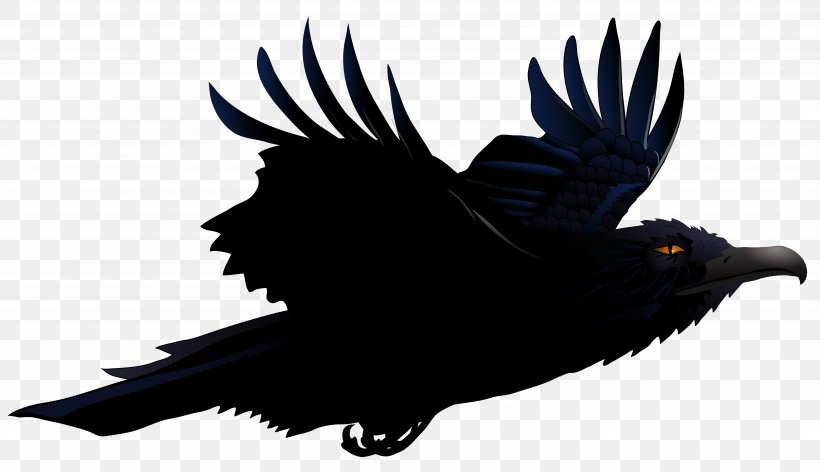 Bird Common Raven Clip Art, PNG, 4988x2876px, Common Raven, American Crow, Beak, Bird, Bird Of Prey Download Free