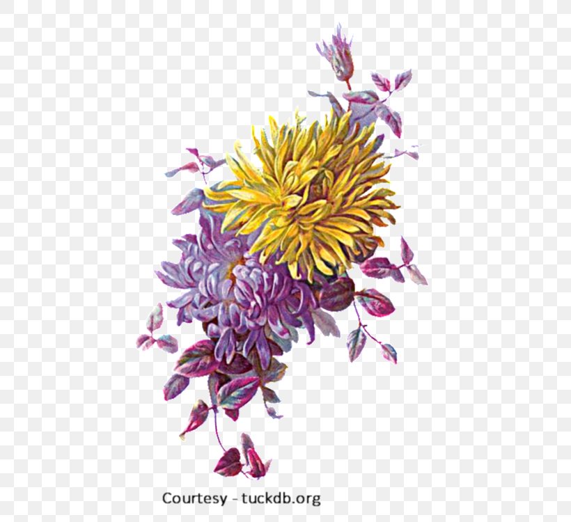 Greeting & Note Cards Birthday Paper Floral Design, PNG, 600x750px, Greeting Note Cards, Anniversary, Aster, Birthday, Chrysanthemum Download Free