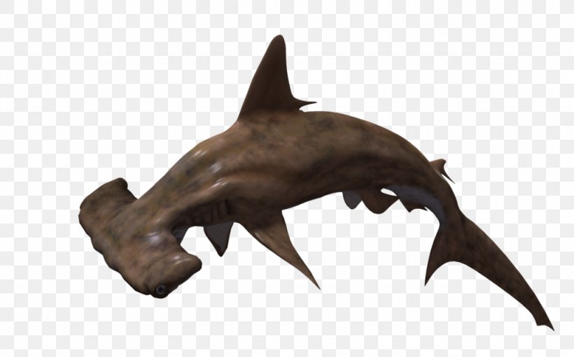 Hammerhead Shark, PNG, 1024x639px, Shark, Carnivoran, Dog Like Mammal, Fauna, Fish Download Free