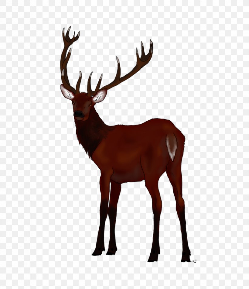 Reindeer Red Deer Elk White-tailed Deer, PNG, 830x963px, Reindeer, Animal, Antler, Art, Deer Download Free