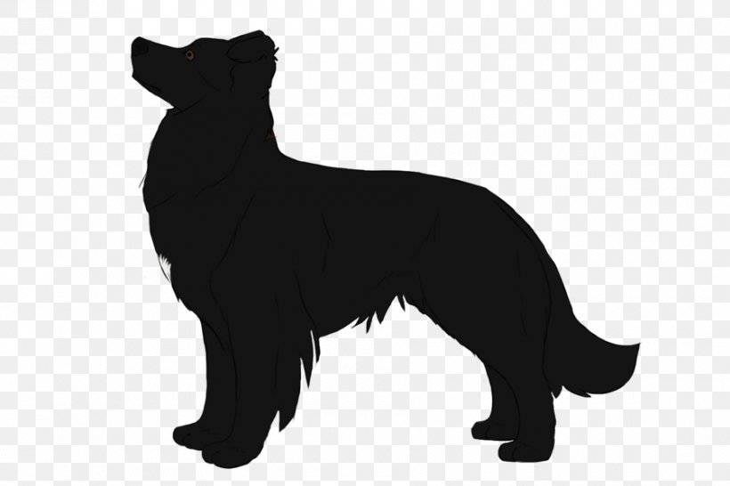 Schipperke Puppy Rally Obedience Dog Breed Obedience Training, PNG, 900x600px, Schipperke, Breed, Canidae, Carnivore, Companion Dog Download Free