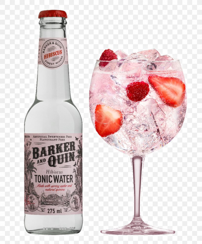 Tonic Water Gin And Tonic Elderflower Cordial Pink Gin Drink Mixer, PNG, 891x1080px, Tonic Water, Alcoholic Beverage, Bacardi Cocktail, Bitter Lemon, Bombay Sapphire Download Free