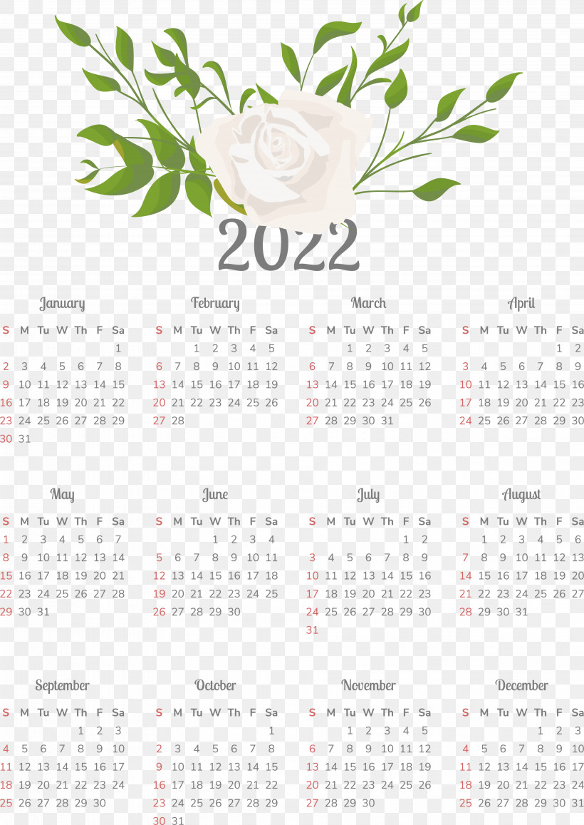 Flower Calendar Font Meter Plant, PNG, 3768x5320px, Flower, Biology, Calendar, Meter, Plant Download Free
