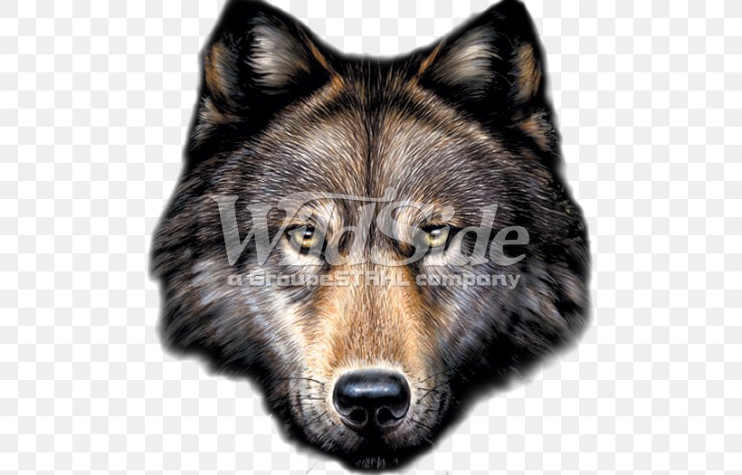 Gray Wolf Drawing Moose Labrador Retriever, PNG, 500x525px, Gray Wolf, Animal, Canis, Carnivoran, Close Up Download Free