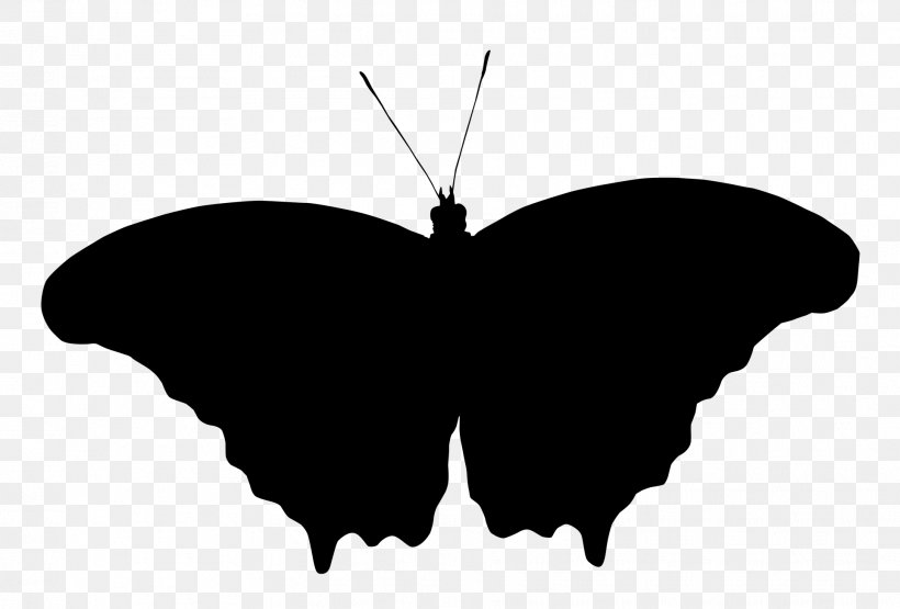 Brush-footed Butterflies Silhouette M. Butterfly Black M, PNG, 1928x1305px, Brushfooted Butterflies, Black, Black M, Blackandwhite, Brushfooted Butterfly Download Free