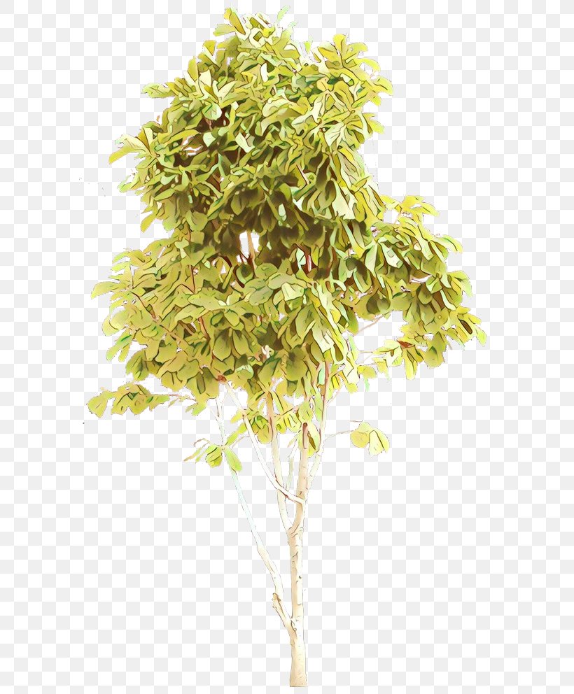 Branch Plant Stem Shrub Plants, PNG, 600x992px, Branch, Flower, Flowering Plant, Grass, Perennial Plant Download Free
