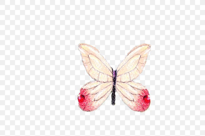 Butterfly Pattern, PNG, 668x543px, Butterfly, Insect, Invertebrate, Moths And Butterflies, Pink Download Free