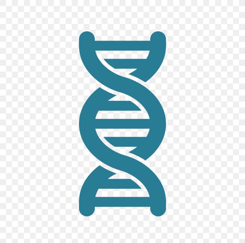 DNA Nucleic Acid Double Helix Vector Artificial Gene Synthesis, PNG, 620x814px, Dna, Artificial Gene Synthesis, Brand, Cloning, Dna Profiling Download Free
