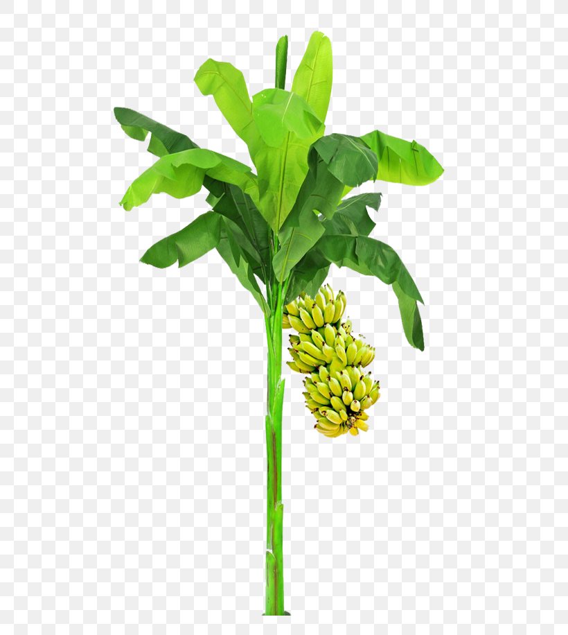 Leaf Plant Stem Flowerpot Tree, PNG, 491x916px, Leaf, Flowerpot, Plant, Plant Stem, Tree Download Free