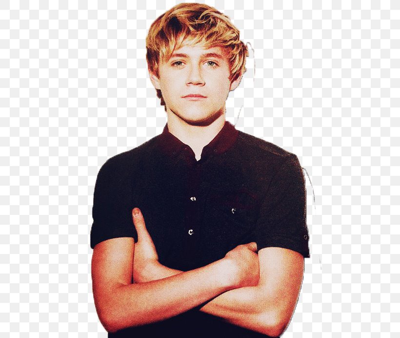 Niall Horan One Direction The X Factor Boy Band, PNG, 500x692px, Watercolor, Cartoon, Flower, Frame, Heart Download Free