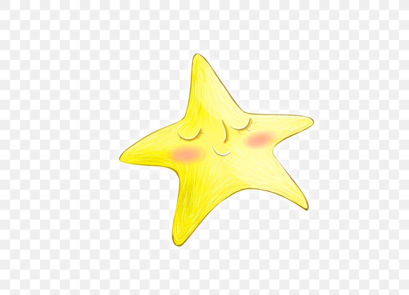 Starfish Yellow Euclidean Vector Icon, PNG, 591x591px, Starfish, Echinoderm, Google Images, Gratis, Green Download Free